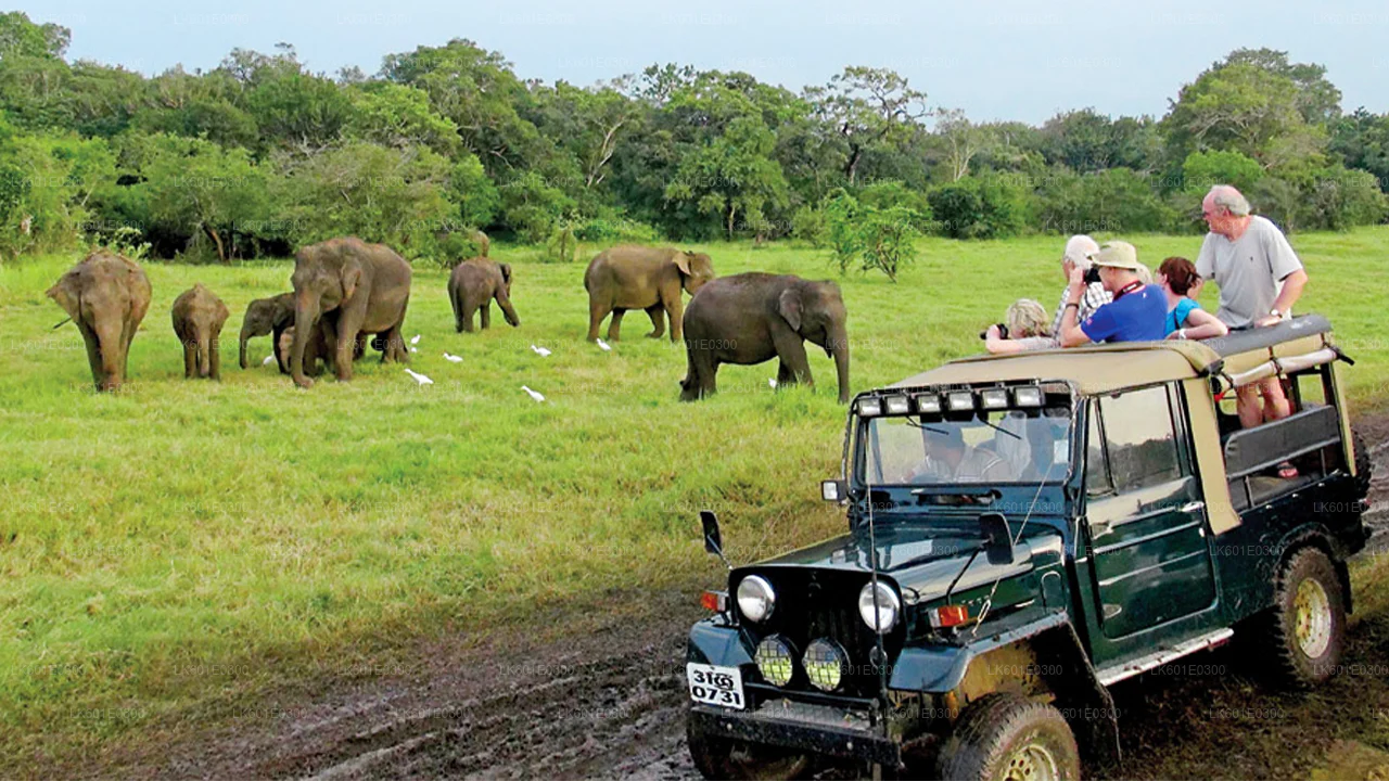 Bundala National Park